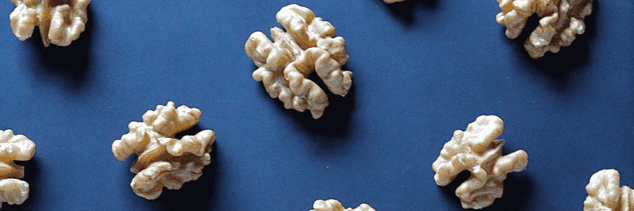 O que é a neurociência e qual sua relação com o futuro do trabalho?