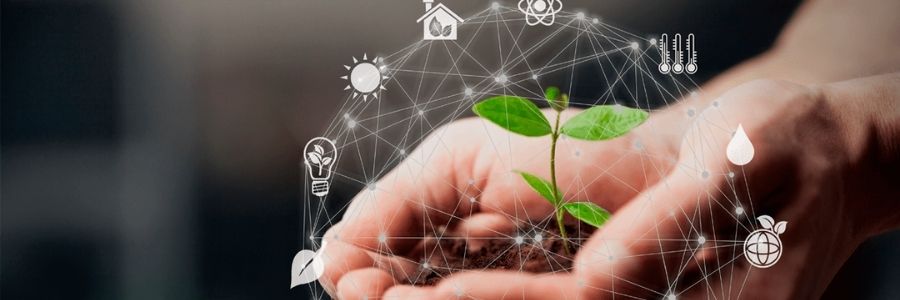 ESG na prática: como os dados podem ajudar na estratégia organizacional